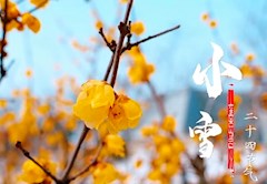 二十四节气——小雪